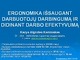 Ergonomikos pagrindai