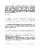 Rusija ir NVS konspektas 2
