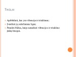 Vibracija ir triukšmas 2