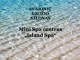 Svajonių grožio salonas mini spa centras „Island spa“ ergonomika