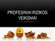 Profesiniai rizikos veiksniai projektas 