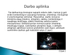 Ergonominiai veiksniai darbo vietoje 3