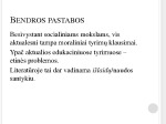 Socialinių tyrimų etika skaidrės 3