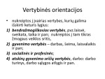 Vertybinės orientacijos: vertybių kūrimas 3