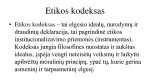 Tarptautiniai/nacionaliniai etikos kodeksai 3
