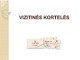 Skaidrės apie vizitines korteles