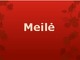 Meilė skaidrės apie meilę