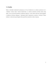 Tarptautinis tarnybinis etiketas 3