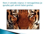Gyvybė 3