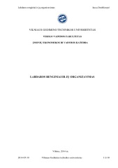 Labdaros renginiai ir jų organizavimas 1