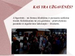 Užgavėnės Žemaitijoje 2