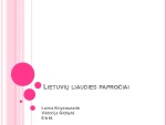 Lietuvių liaudies papročiai 1