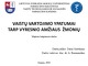 Vaistų vartojimo ypatumai tarp vyresnio amžiaus žmonių