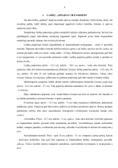 Laiškai. Laiškų stilius ir rašymas 3