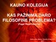 Kas pažinimą daro filosofine problema