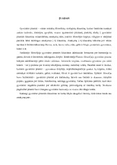Gyvenimo prasmė filosofijos referatas 2