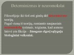 Laisvė – tai asmens galimybė apsispręsti skaidrės 3
