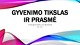 Gyvenimo tikslas ir prasmė skaidrės