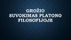 Grožio suvokimas Platono filosofijoje