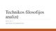 Technikos filosofijos analizės pristatymas