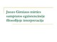 Juozo Girniaus mirties sampratos egzistencinėje filosofijoje interpretacija