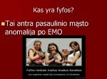 Fyfos 2