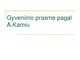 Gyvenimo prasmė pagal A.Kamiu