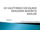 Valstybinio socialinio draudimo biudžeto analizė