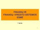 Finansų ir kredito sistemos esmė