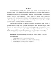Revolut mokėjimų kortelė 3