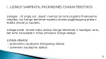 Finansinis ir veiklos lizingas 3