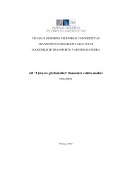 AB „Lietuvos geležinkeliai“ finansinės veiklos analizė 1