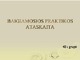 Praktikos ataskaita skaidrės