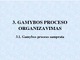 Gamybos proceso organizavimas