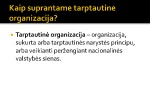 Tarptautinių finansinių organizacijų įsteigimas 3