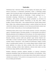 Globalizacijos poveikis finansų sistemai ir finansų rinkoms 2