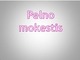 Pelno mokestis pristatymas