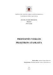 Įmonės finansai praktikos ataskaita 1