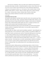 Islamo finansai ir bankininkystė referatas 2