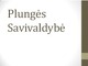 Plungės Savivaldybė