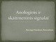 Anologinis ir skaitmeninis signalai