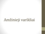 Amžinieji varikliai 1