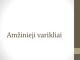 Amžinieji varikliai