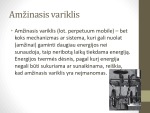 Amžinieji varikliai 3