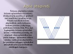 Šviesos atspindys skaidrės 3
