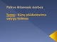 Kūnų plūduriavimo sąlygų tyrimas (2)