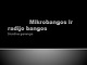 Mikrobangos ir radio bangos