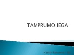 Tamprumo jėga skaidrės 1