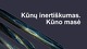 Kūnų inertiškumas, Kūnų masė