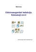 Elektromagnetinė indukcija kintamoji srovė